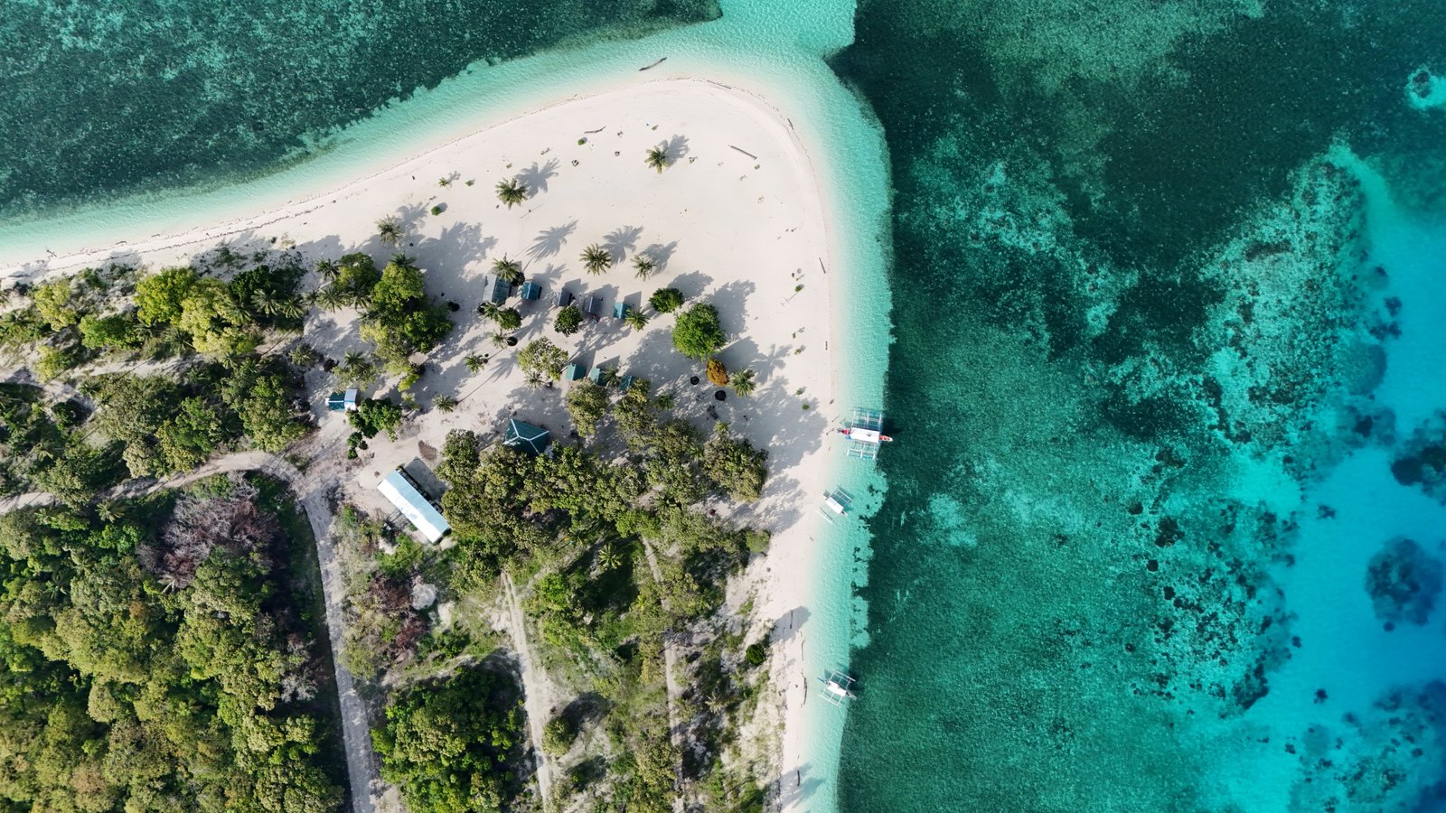 tropisch eland in balabac filipijnen