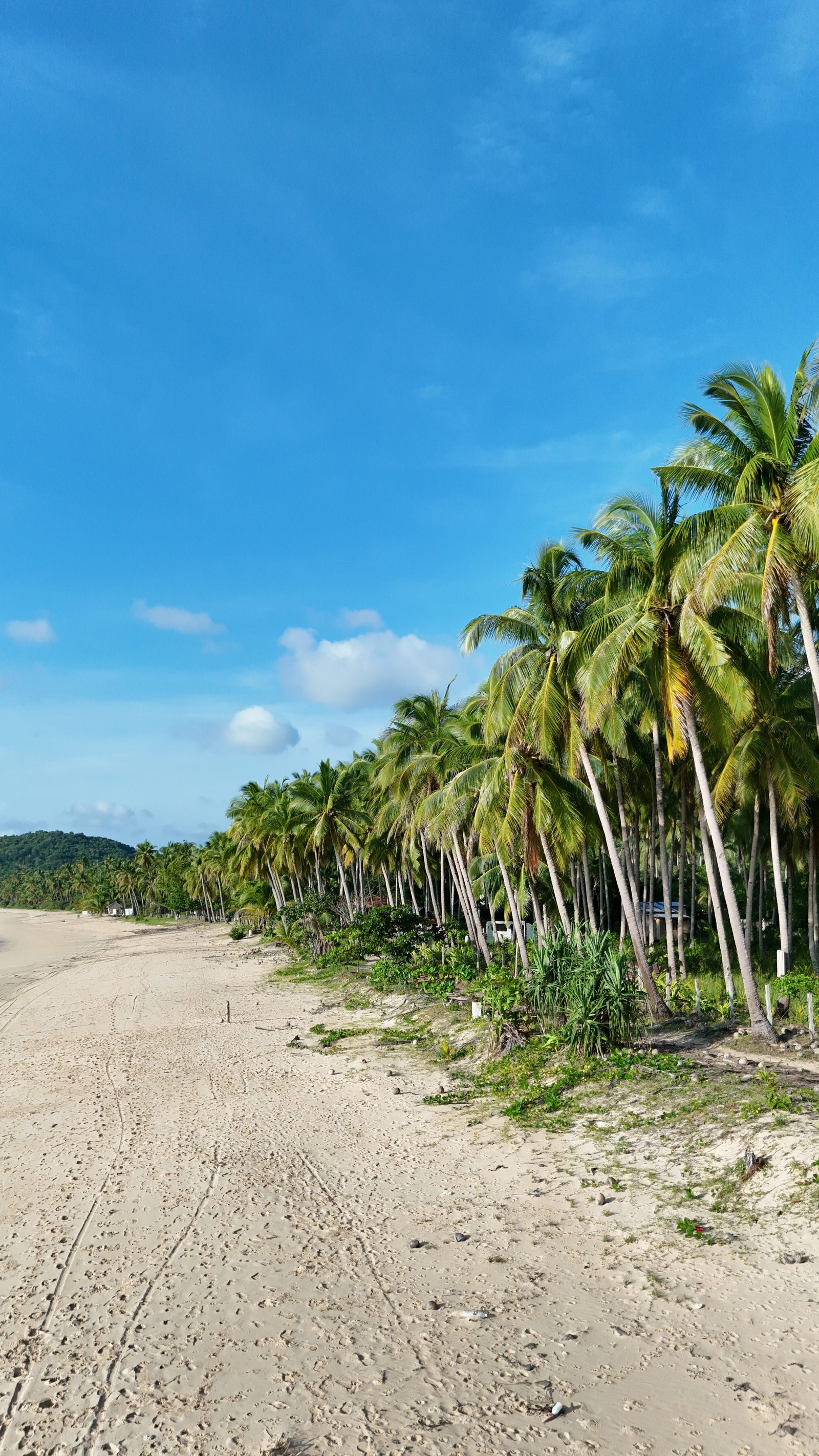 wit strand in de filipijnen met veel palmbomen