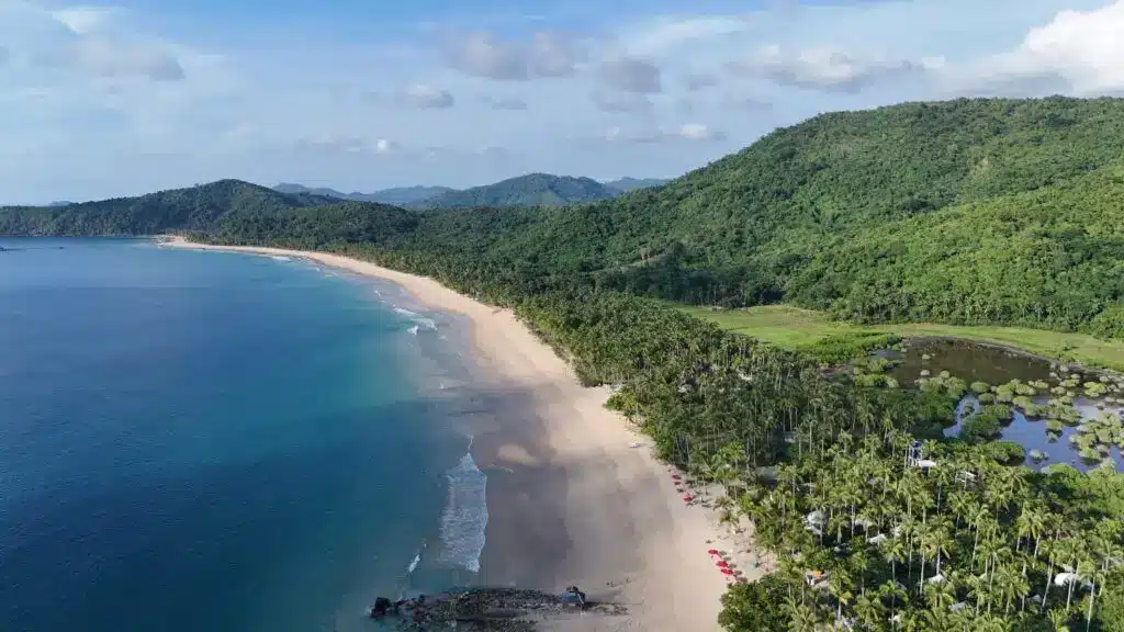 uitgestrekt wit strand met groene palmbomen in de filipijnen