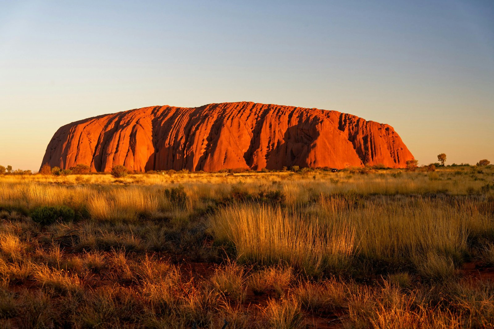 Uluru rots in Australië tijdens zonsondergang