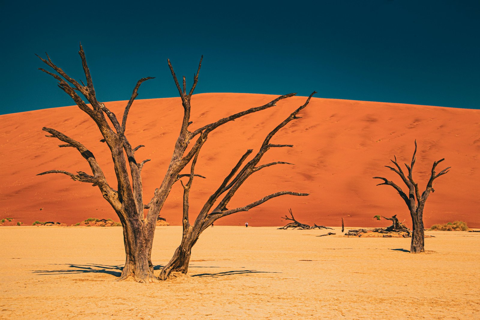 Sossusvlei met dode bomen in namibie