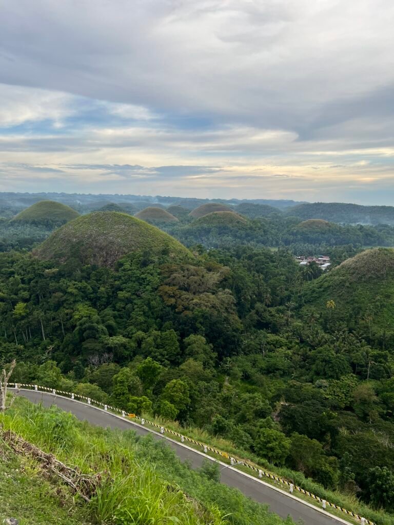 De Chocolate Hills op het eiland Bohol in de Filipijnen