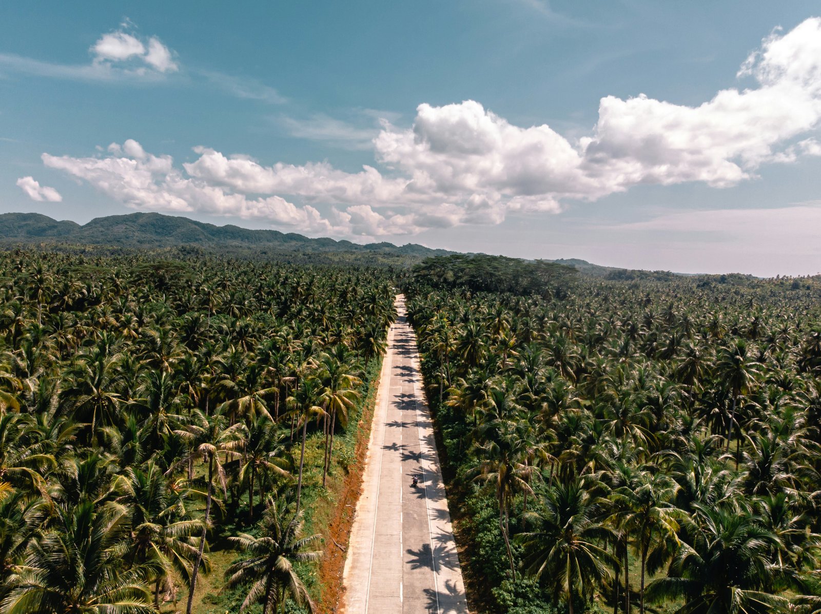 coconut road op Siargao in de Filipijnen