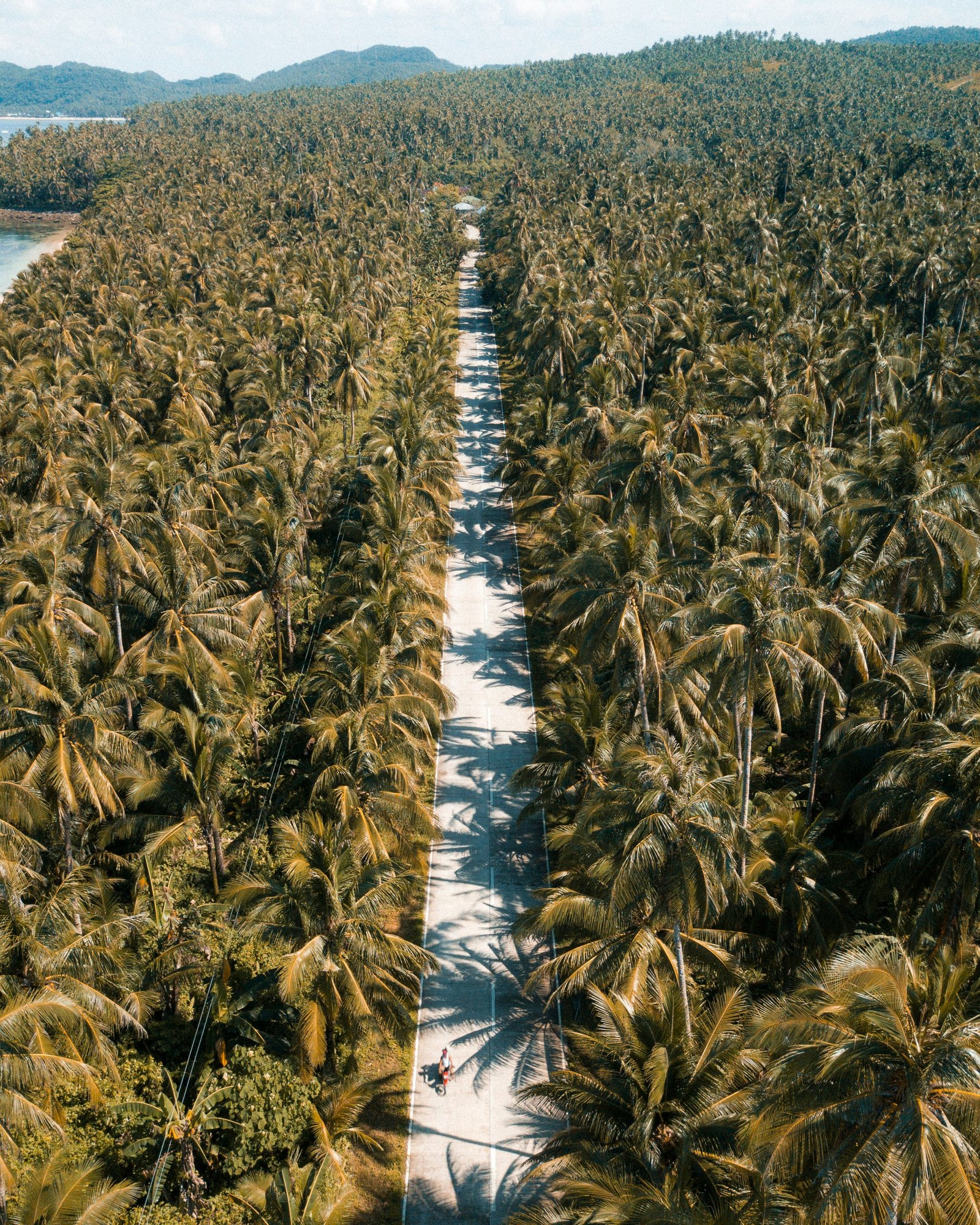 Droneshot van Coconut road op Siargao in de Filipijnen
