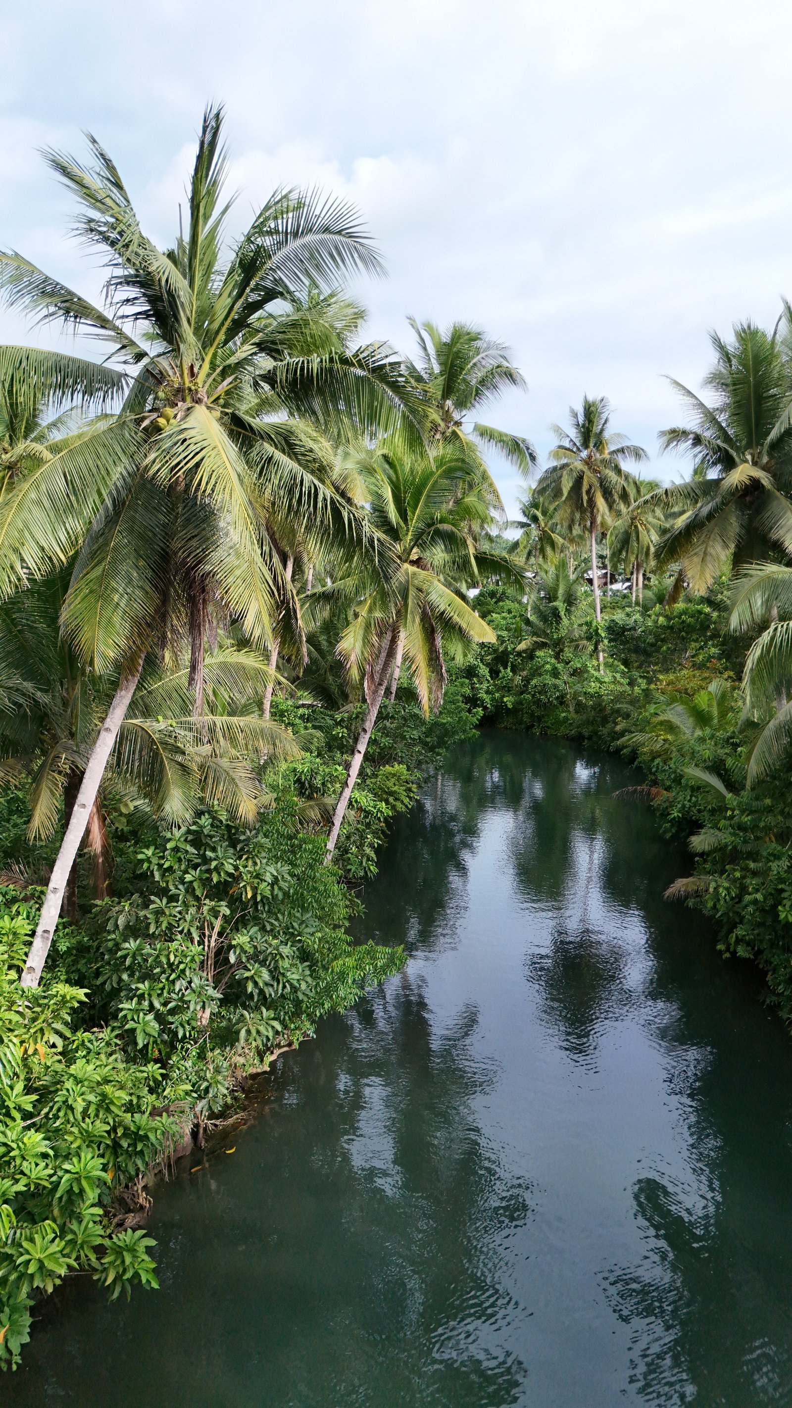Maasin rivier op Siargao in de Filipijnen