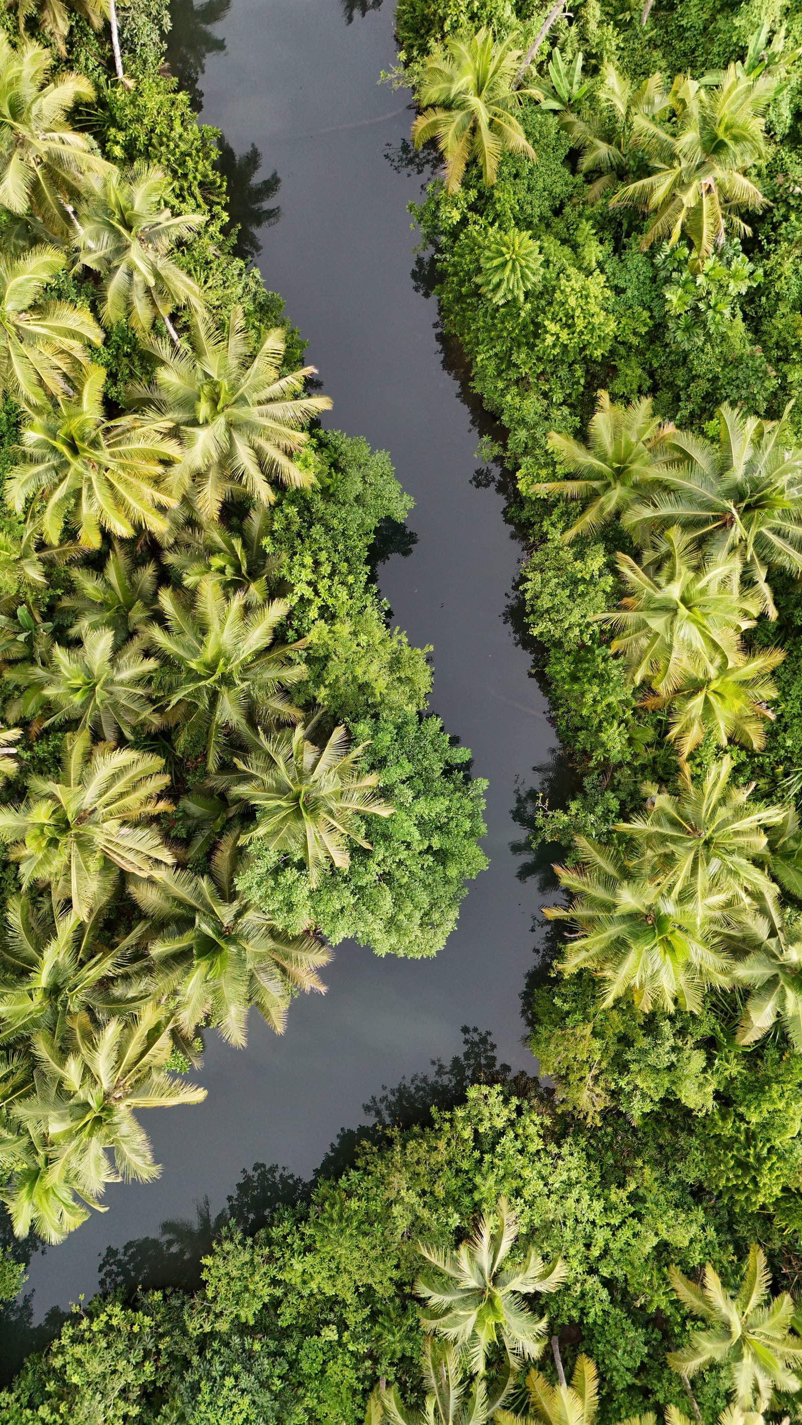 Maasin rivier op Siargao vanuit de lucht gezien