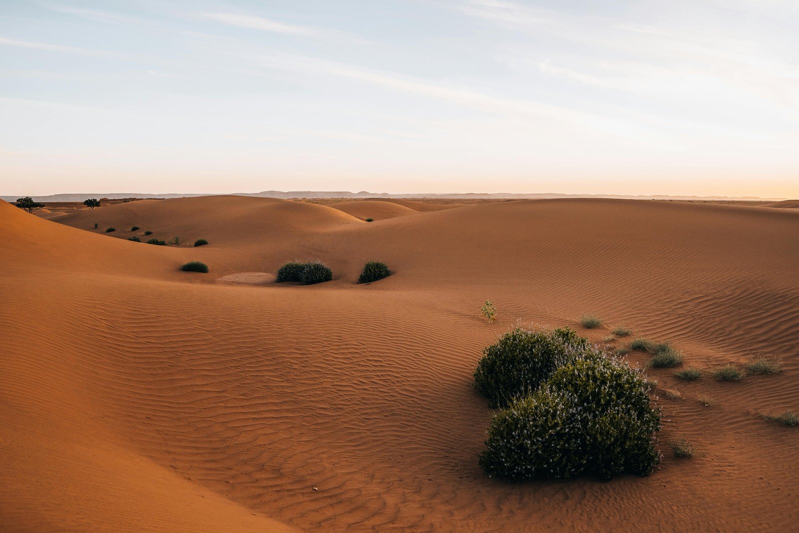 De Sahara woestijn in Marokko