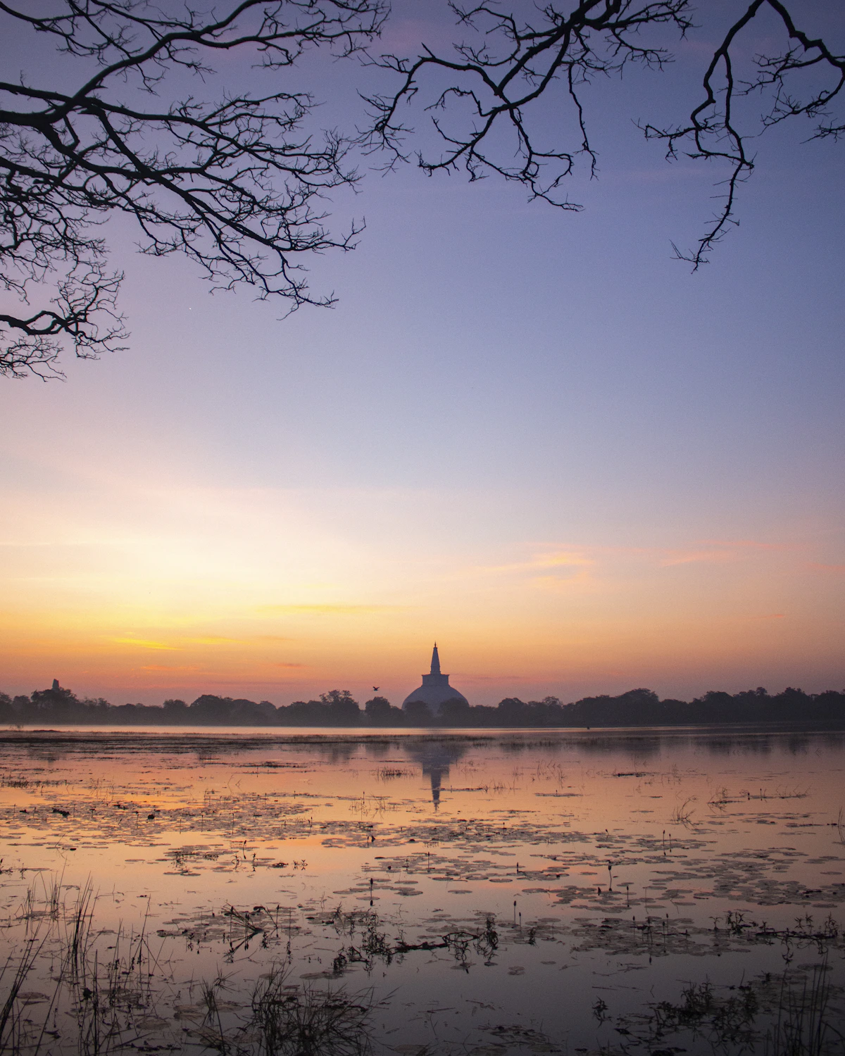 Oude stupa in Anuradhapura met groen omringend landschap