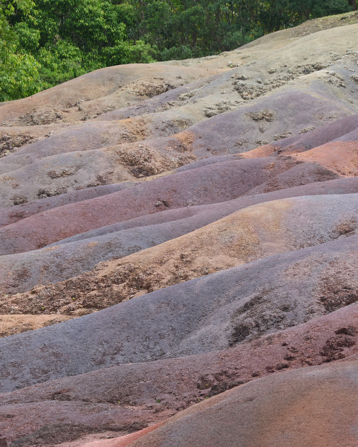 De Seven Coloured Earth bij Chamarel met meerkleurige zandduinen