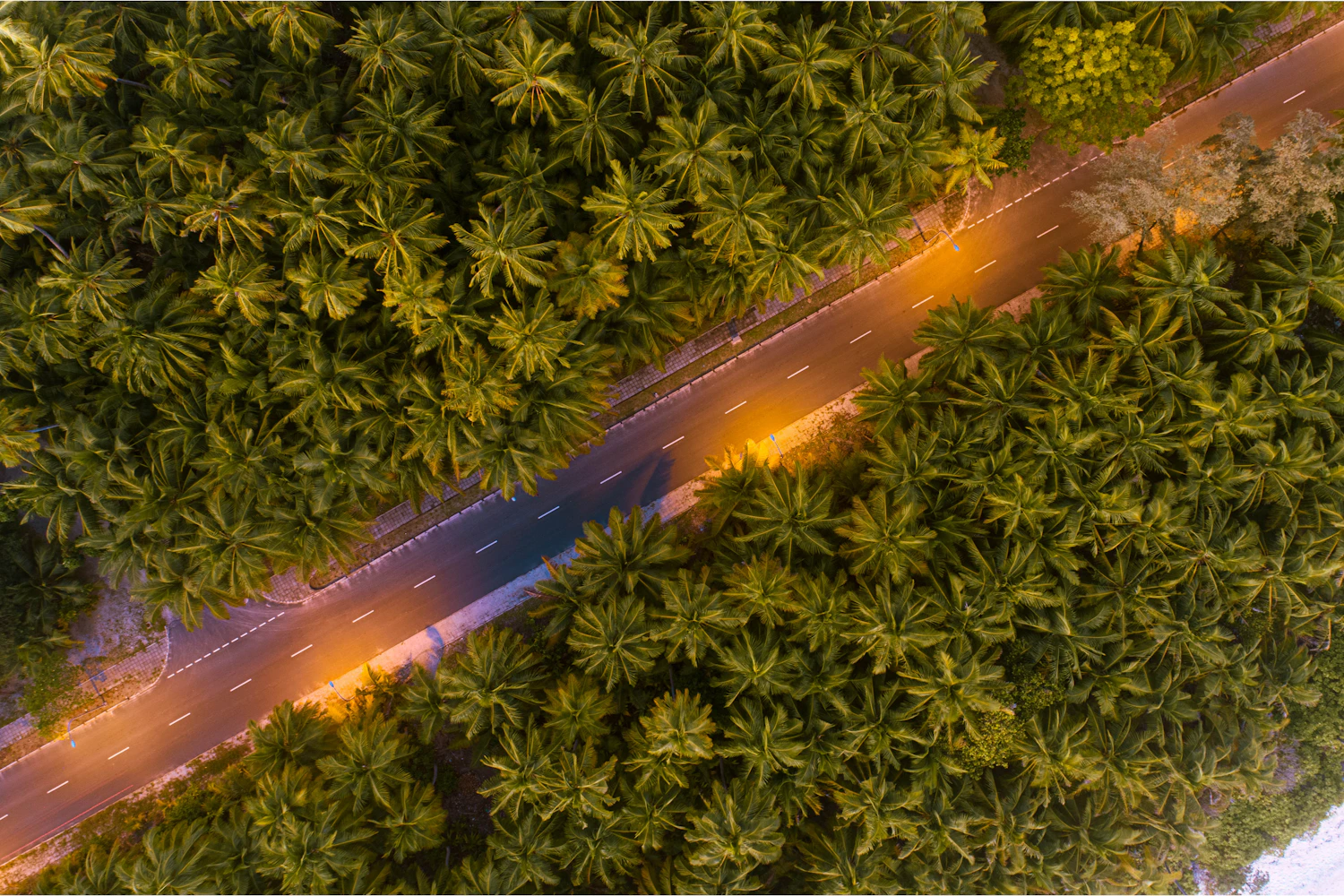 Luchtfoto van een weg door de groene vegetatie van Fuvahmulah