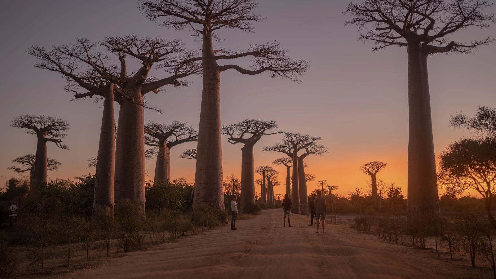 Reizigers wandelen langs de Avenue of the Baobabs op Madagaskar