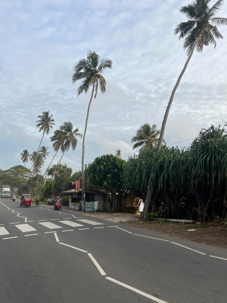 Tuktuk-rit langs de zuidkust van Sri Lanka
