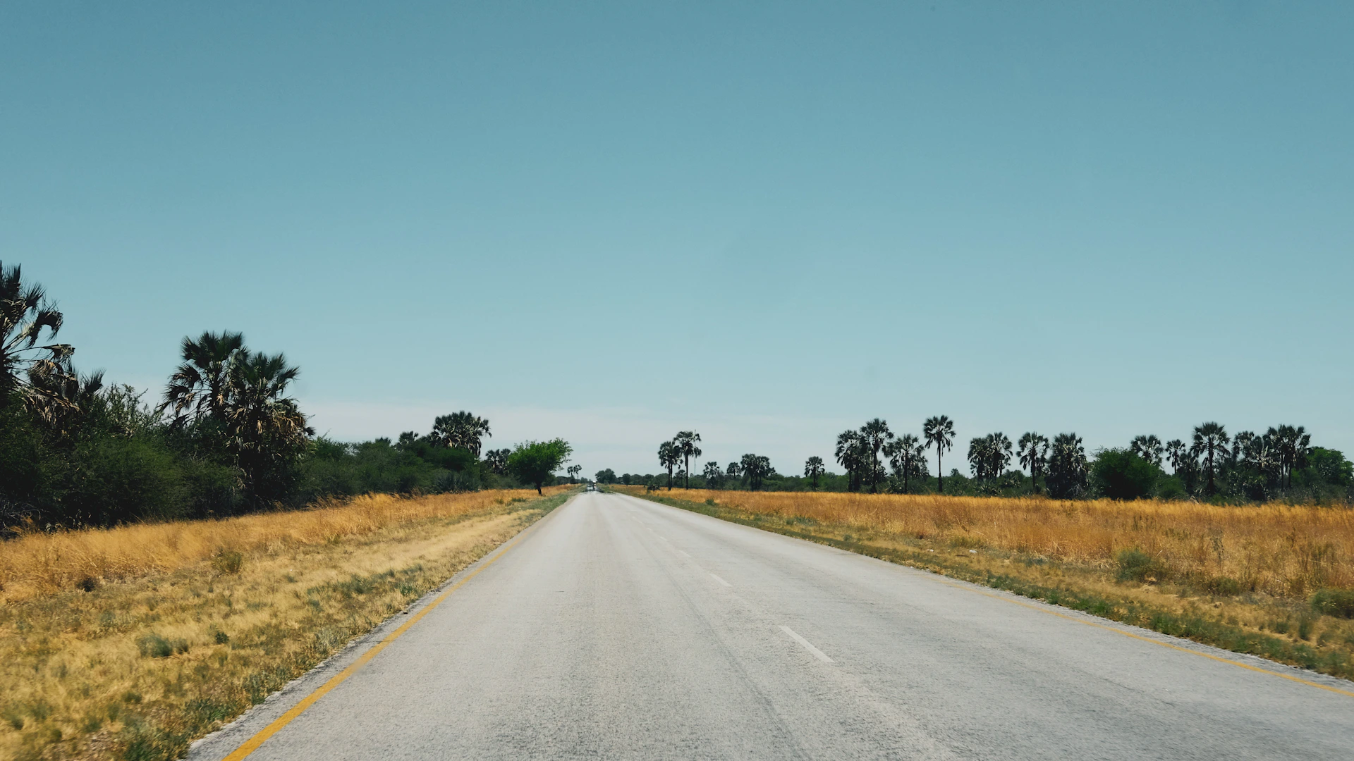 Asfaltweg door het uitgestrekte landschap van Namibië