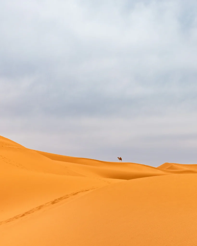 Hoge zandduin tegen een blauwe lucht in de Sahara