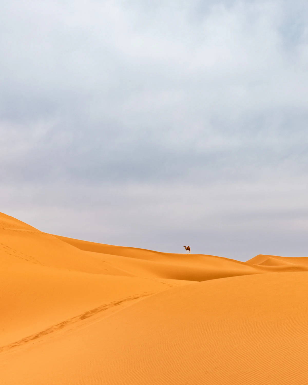 Hoge zandduin tegen een blauwe lucht in de Sahara