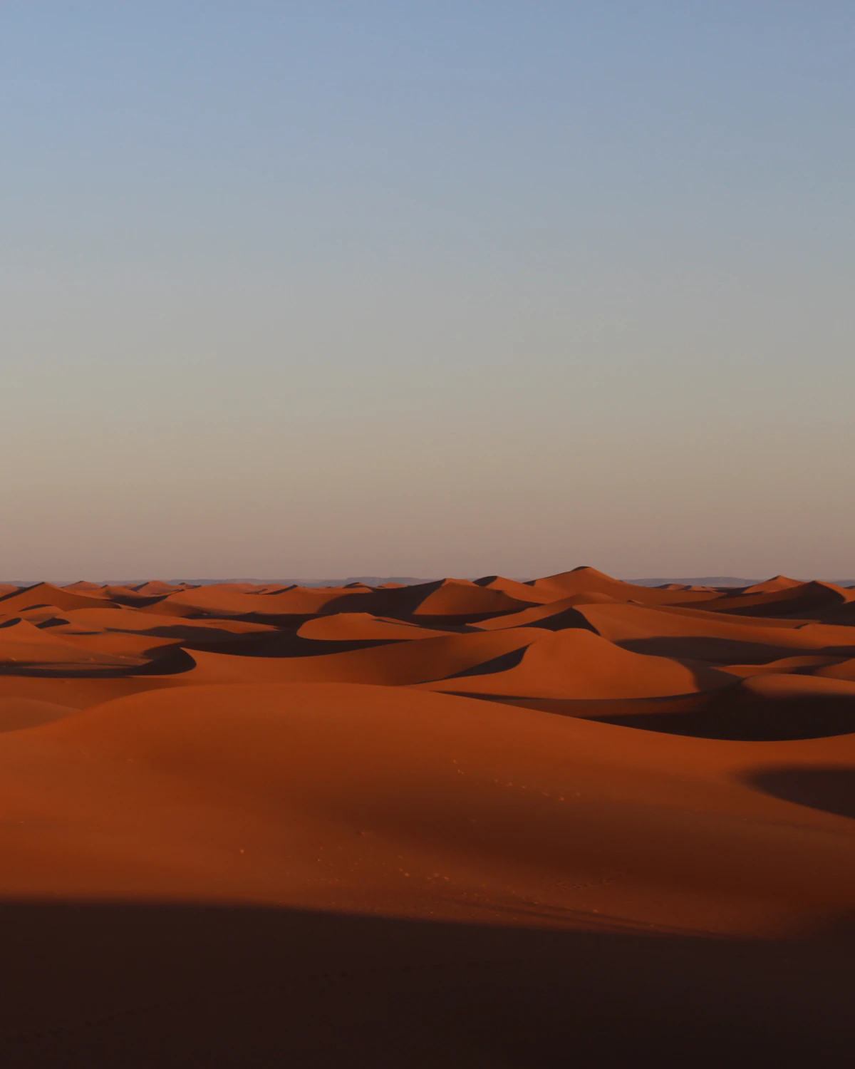 Uitgestrekte vlaktes met zandduinen in de Sahara