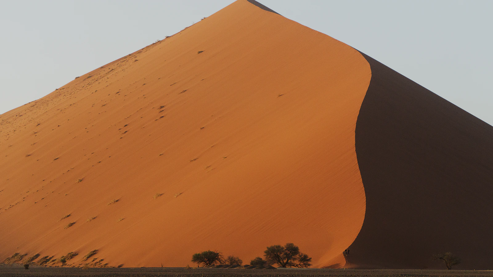 Bruine bergen in het Namibische landschap