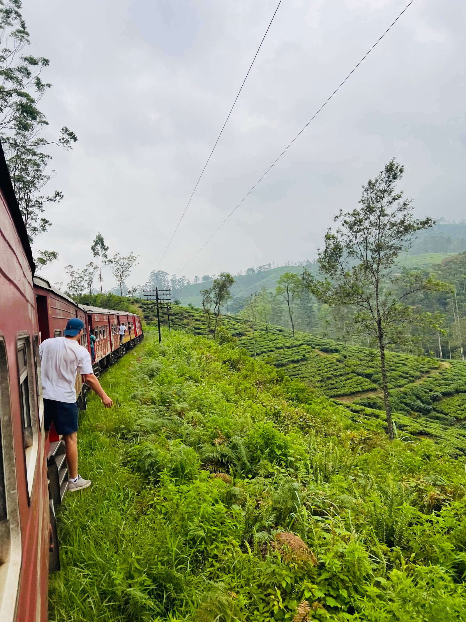 Trein passeert door uitgestrekte theeplantages tussen Kandy en Ella