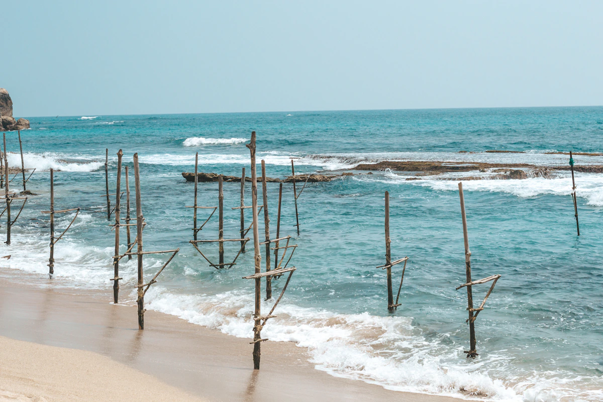 Houten palen van de stikvissers steken uit boven het water bij Weligama