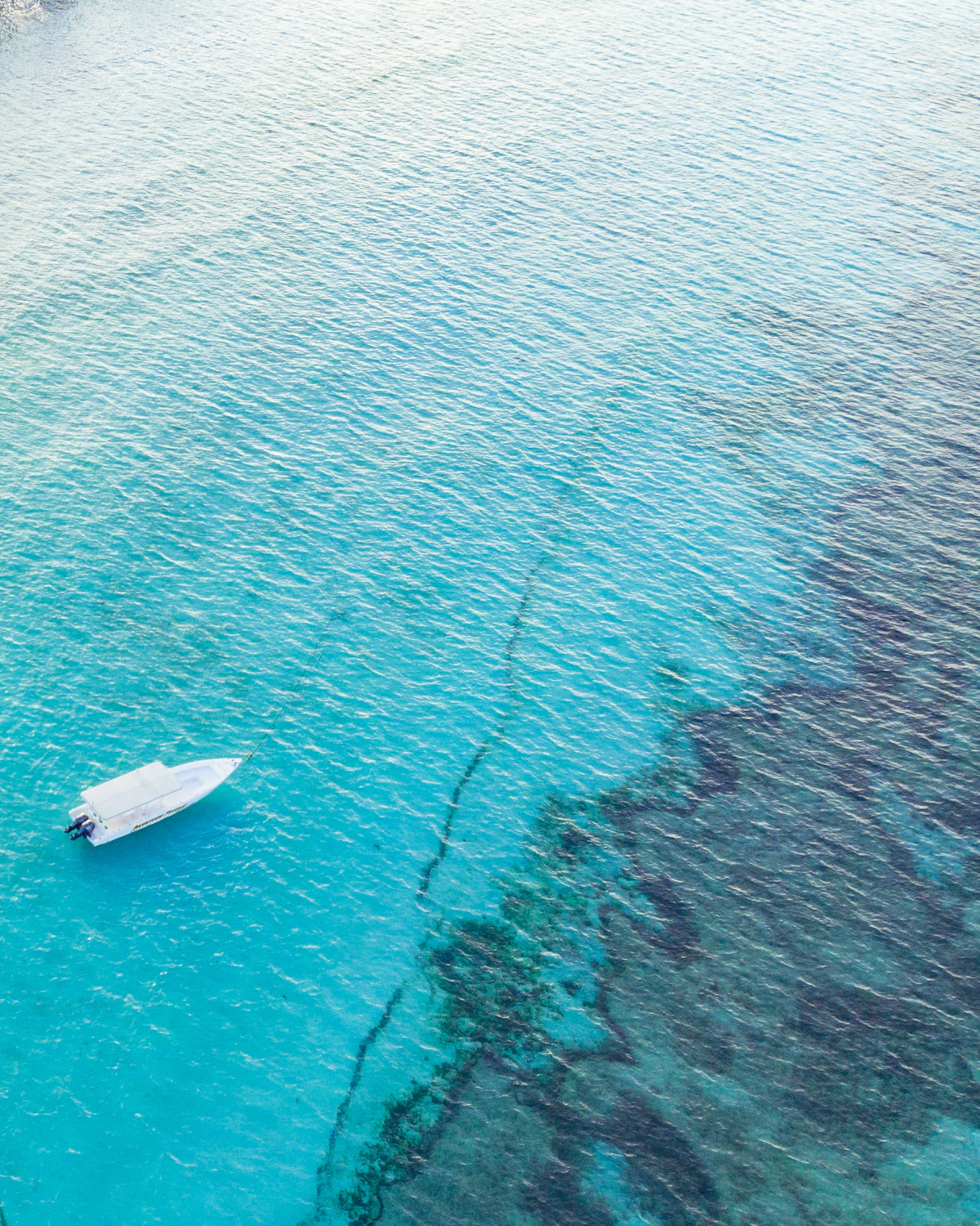 Luchtfoto van een dhow in de heldere wateren rond Zanzibar