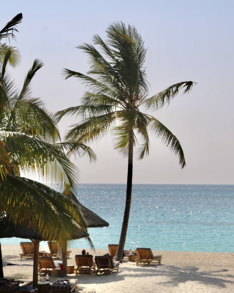 Palmen op het witte strand van Zanzibar