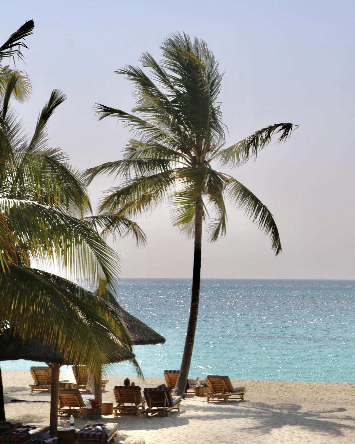 Palmen op het witte strand van Zanzibar