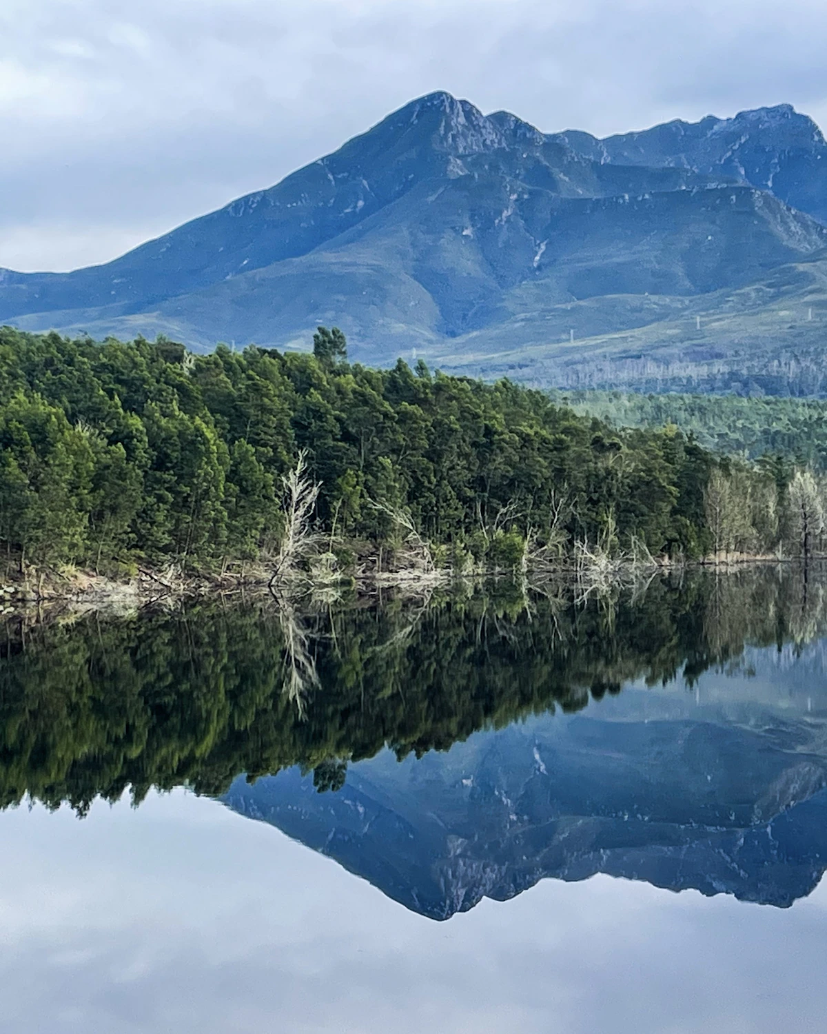 Heuvels en bergen rond de wijnlanden van Stellenbosch en Franschhoek