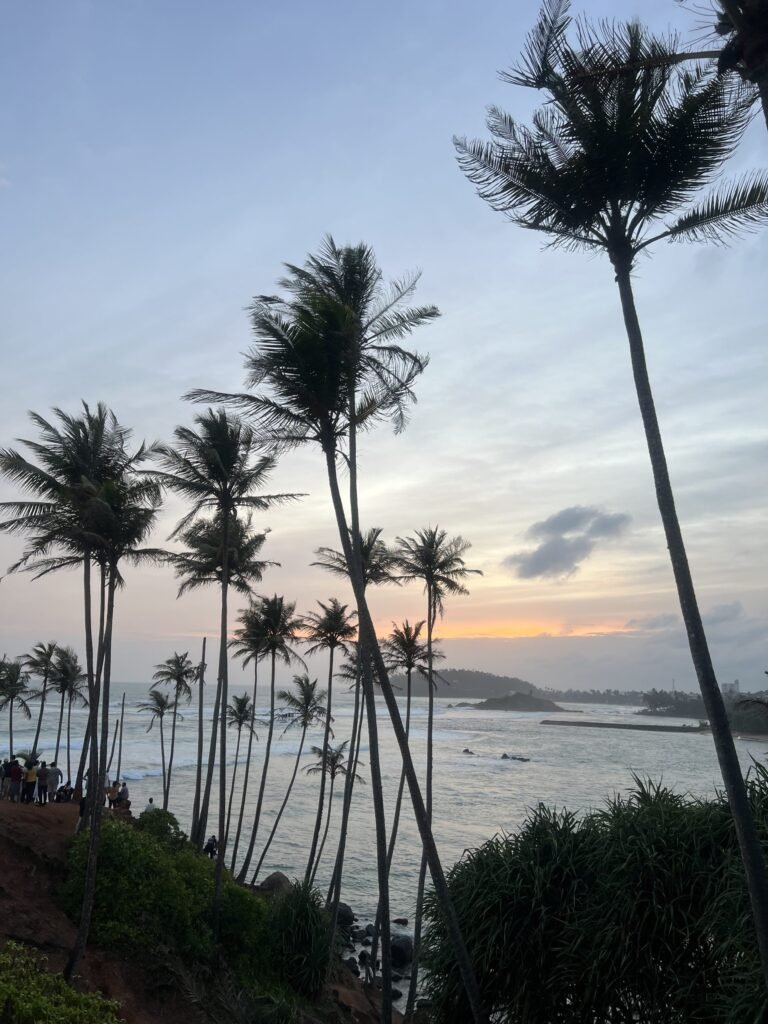 Palmbomen van Coconut Tree Hill bij Mirissa tijdens zonsondergang