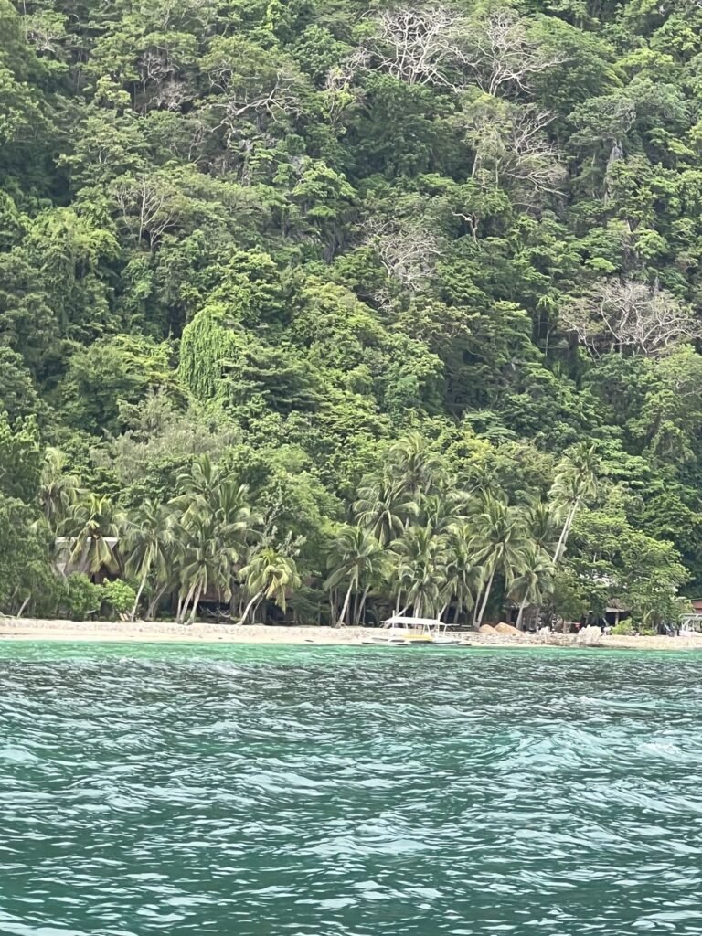 Eiland met palmenstrand en groenblauw water tijdens een boottocht bij Coron