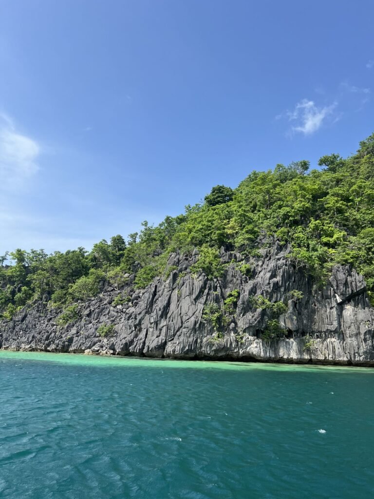 Begroeide kalkrots aan een turquoise lagune bij Coron
