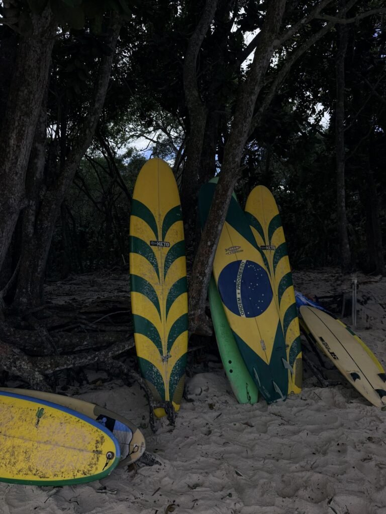 Surfplanken tegen de bomen aan het strand van Lopes Mendes