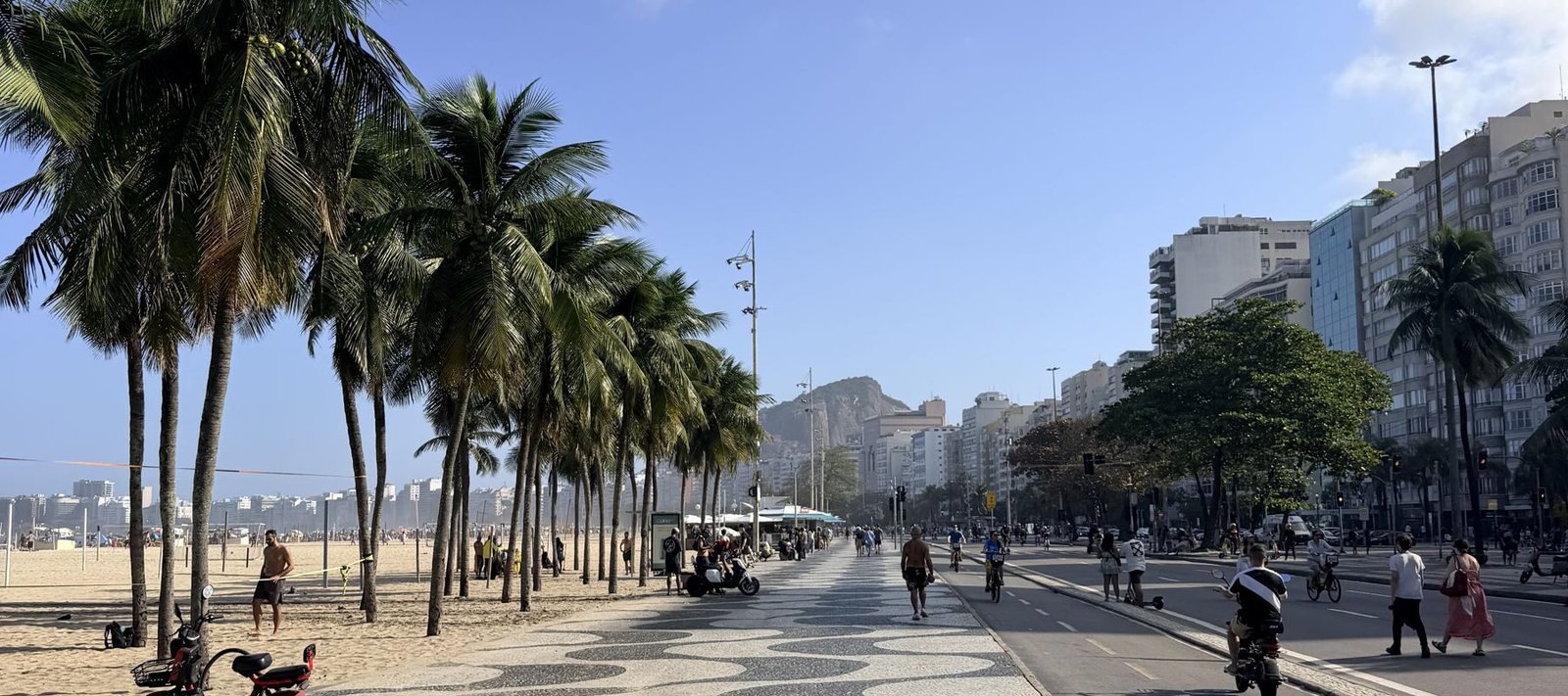Boulevard van Copacabana met palmbomen