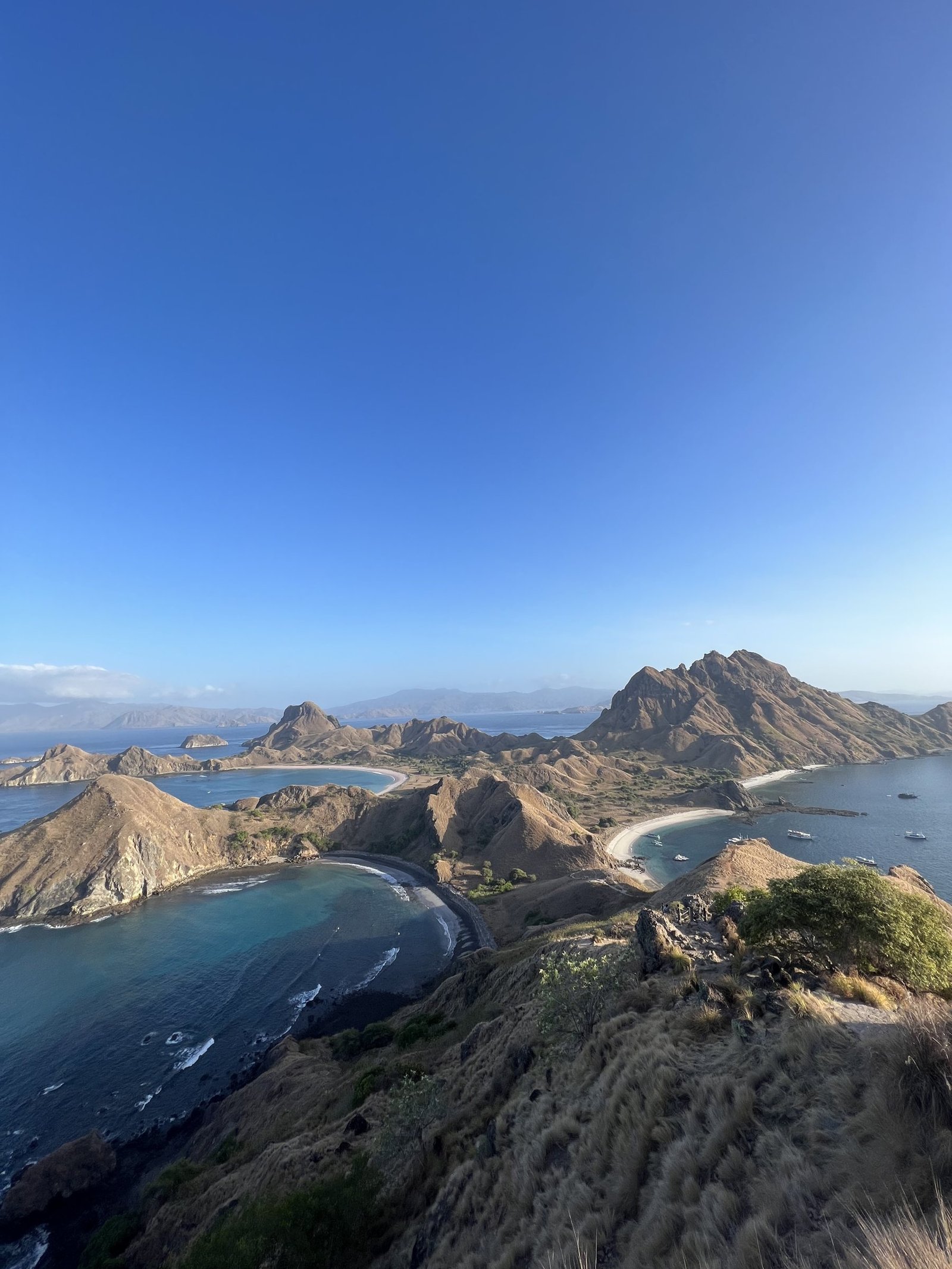 Uitzicht vanaf Padar over drie baaien in Komodo National Park