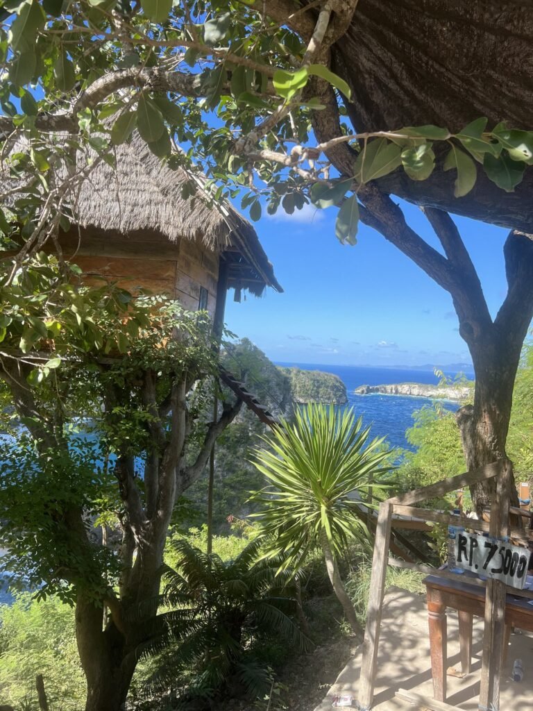 Boomhut met rieten dak boven de kliffen aan de oostkust van Nusa Penida