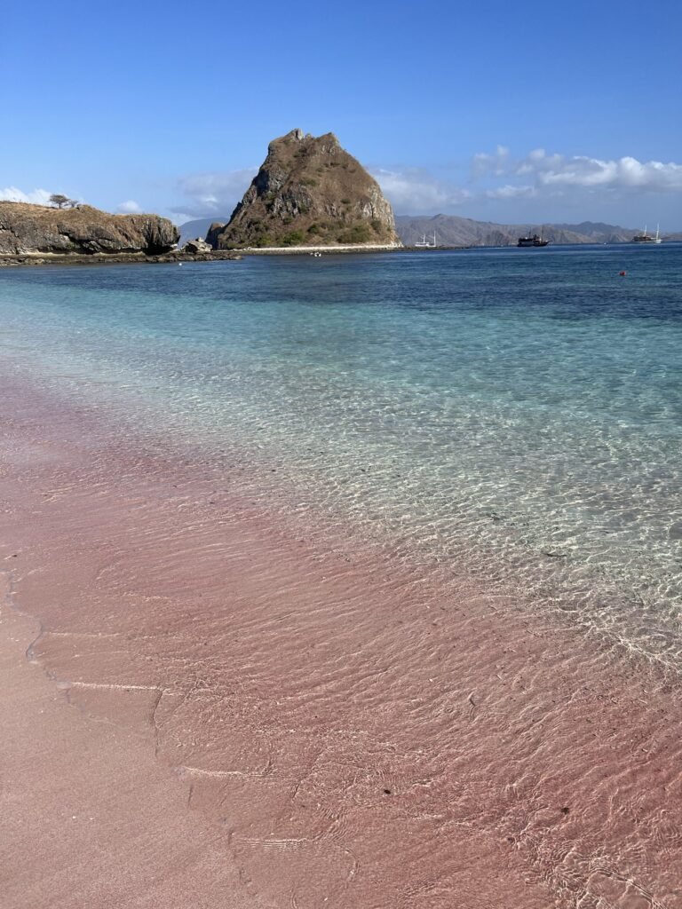 Roze strand en helder water bij Pink Beach in Komodo National Park