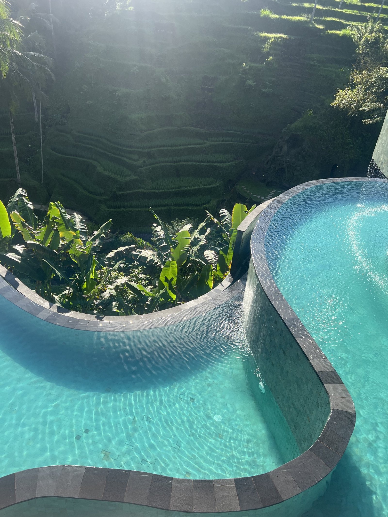 Turquoise infinity-zwembaden van Cretya boven de rijstterrassen bij Ubud