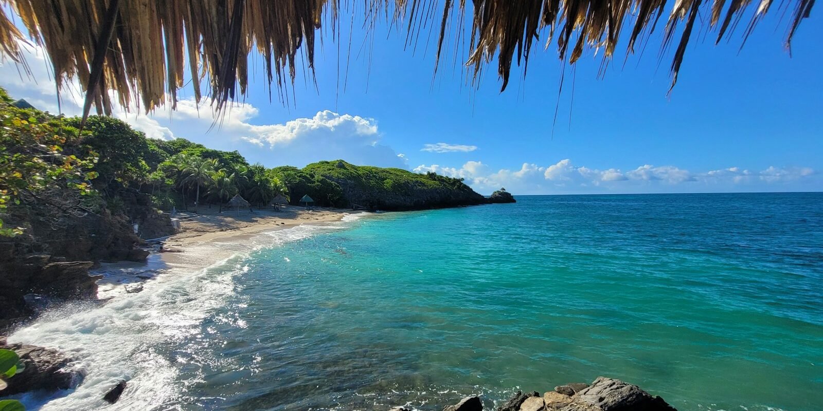 Tropisch strand met palmen op het eiland Roatán in Honduras