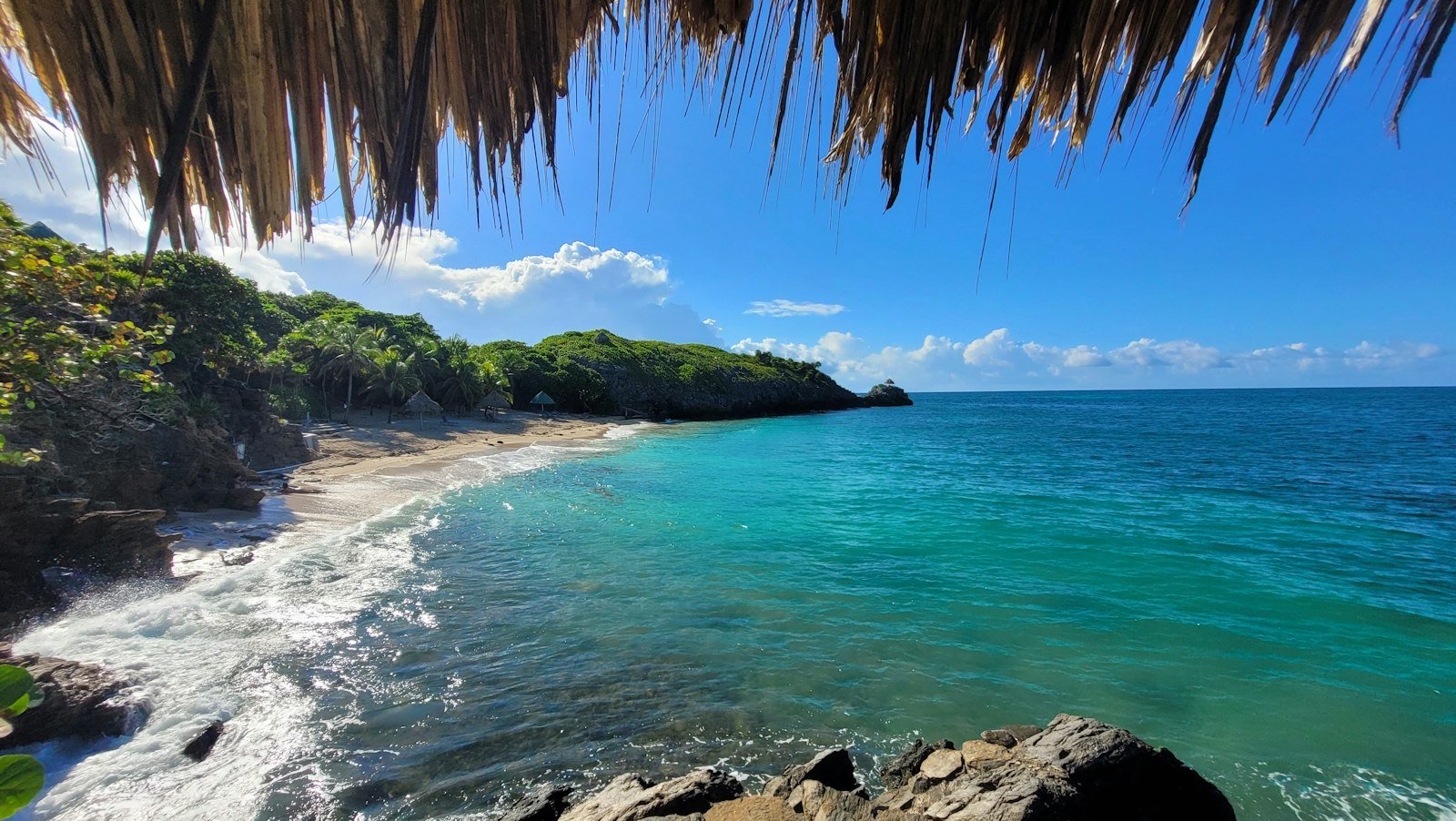 Tropisch strand met palmen op het eiland Roatán in Honduras