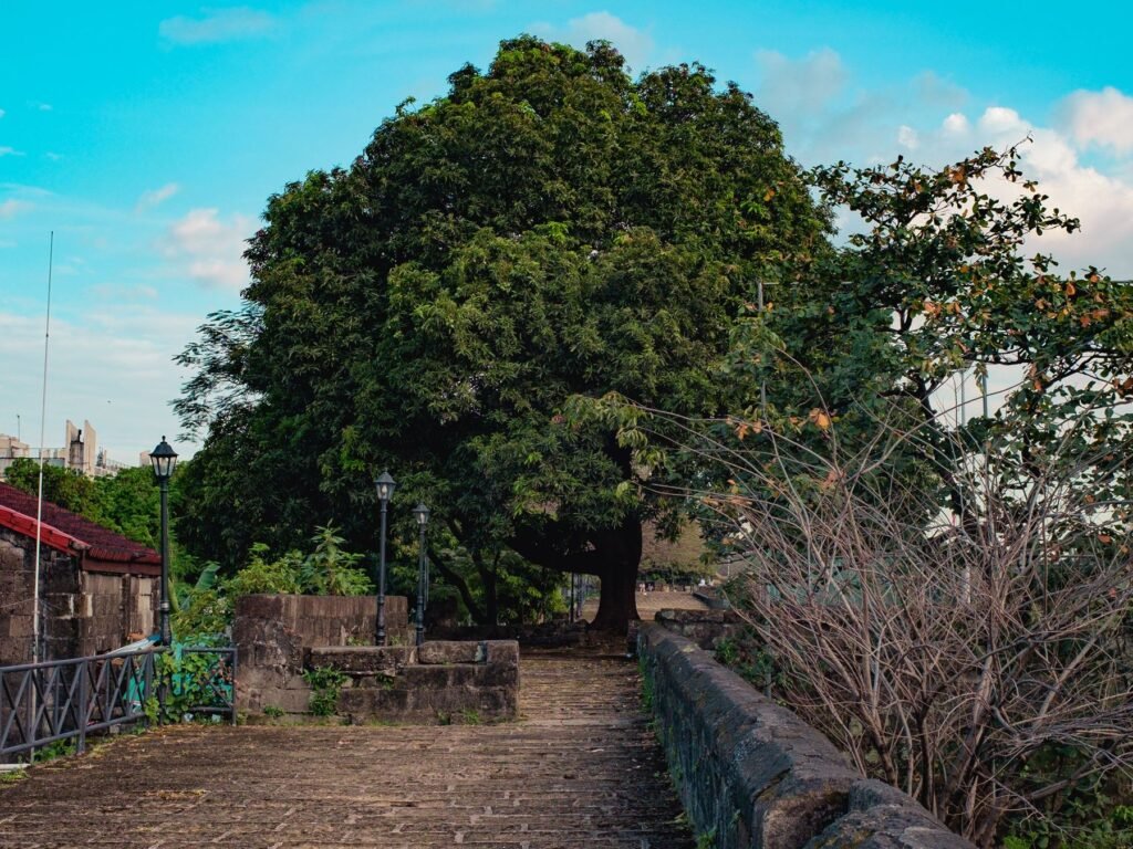 Wandelpad langs de oude stadsmuur in Intramuros in Manila