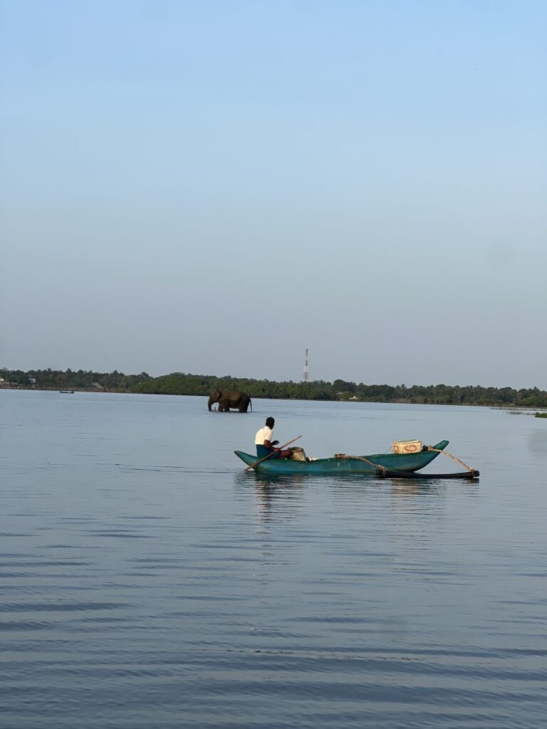 Bootje op de lagune bij Arugam Bay met een olifant op de achtergrond bij zonsopkomst
