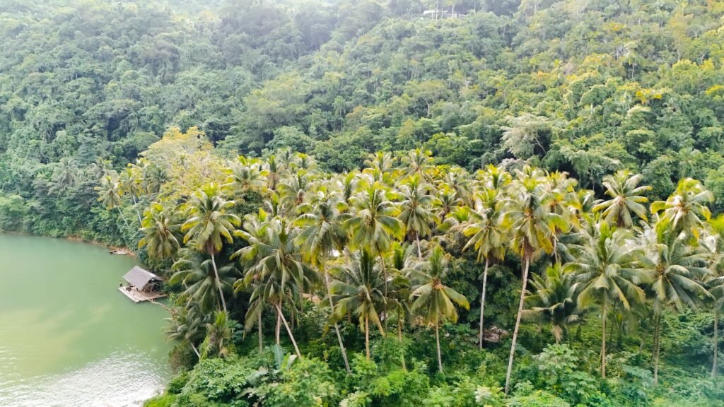 Luchtfoto van de Loboc-rivier tussen de palmbomen op Bohol