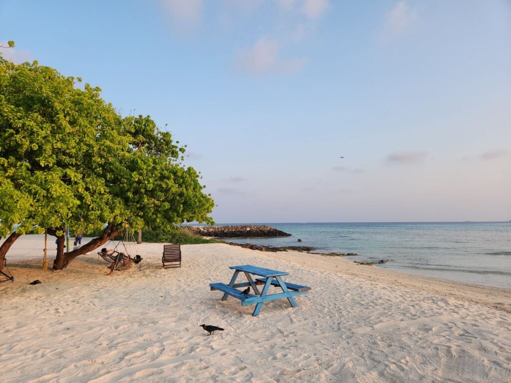 Strand met schaduwrijke bomen en picknicktafel op Maafushi