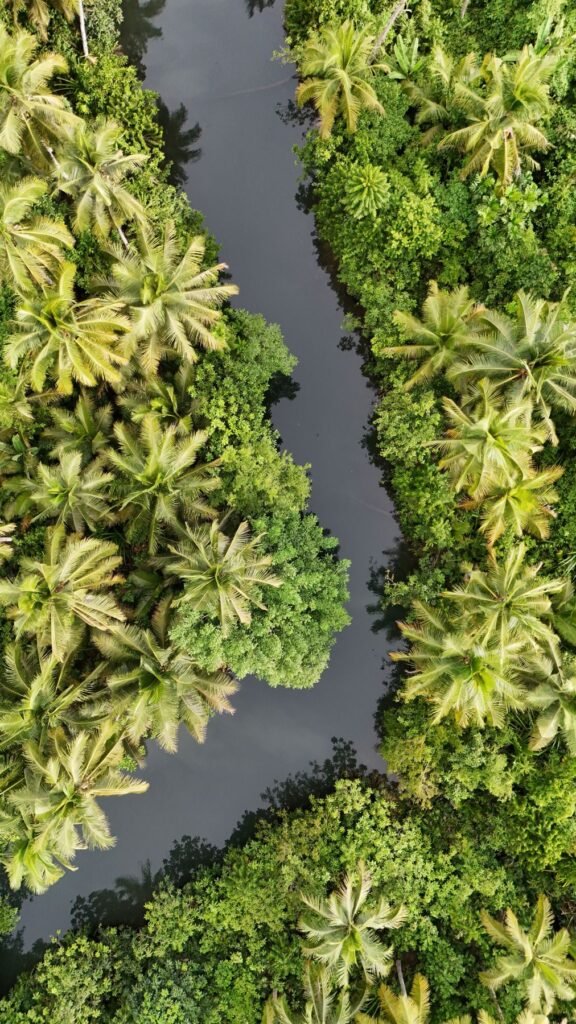 Luchtfoto van de Maasin-rivier tussen de palmbomen op Siargao