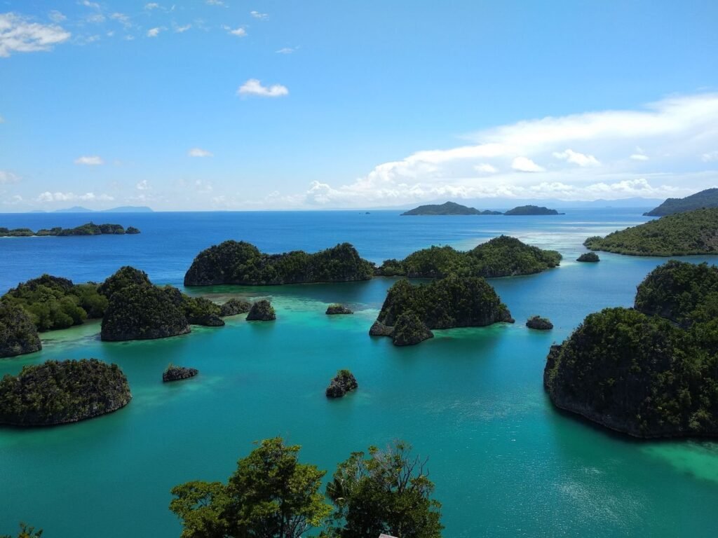 Kalksteeneilanden in turquoise water in Raja Ampat