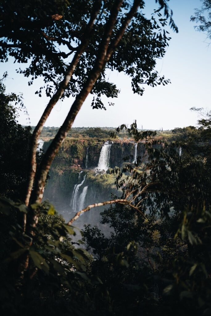 De Iguazu-watervallen tussen de bomen door