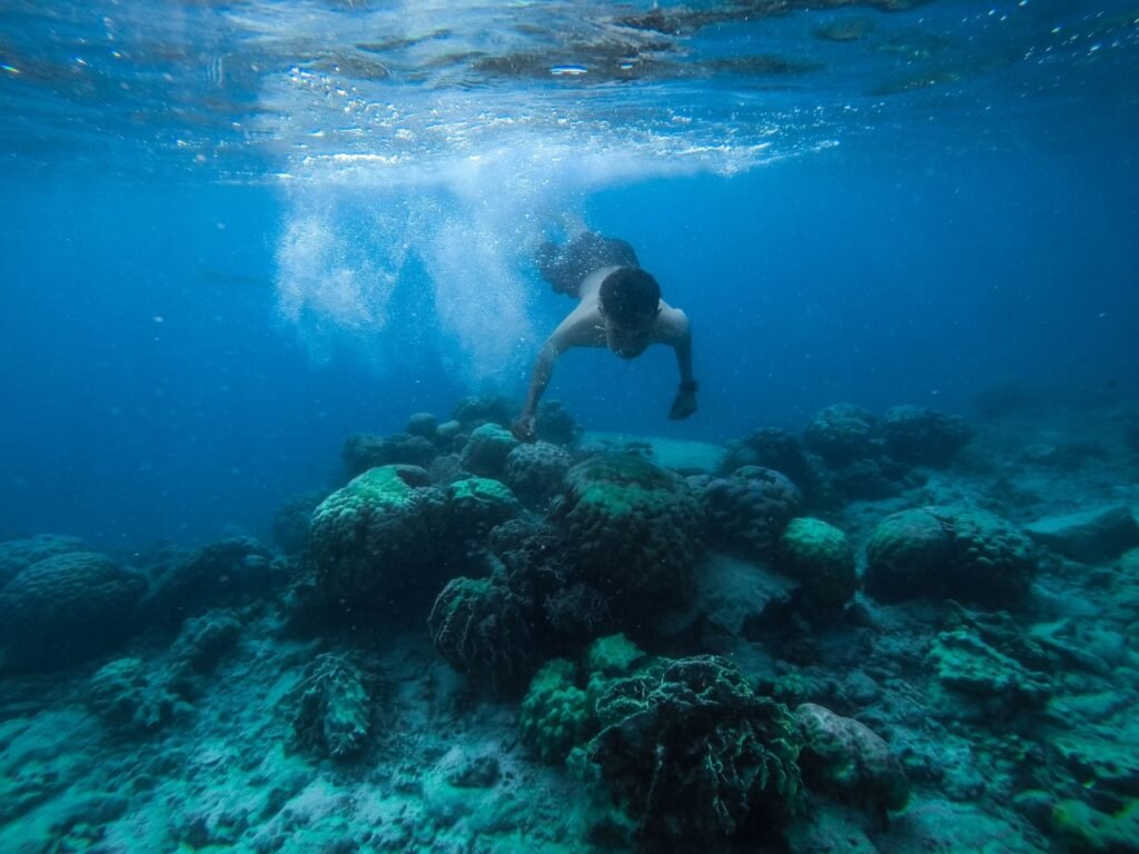 Snorkelaar boven een koraalrif