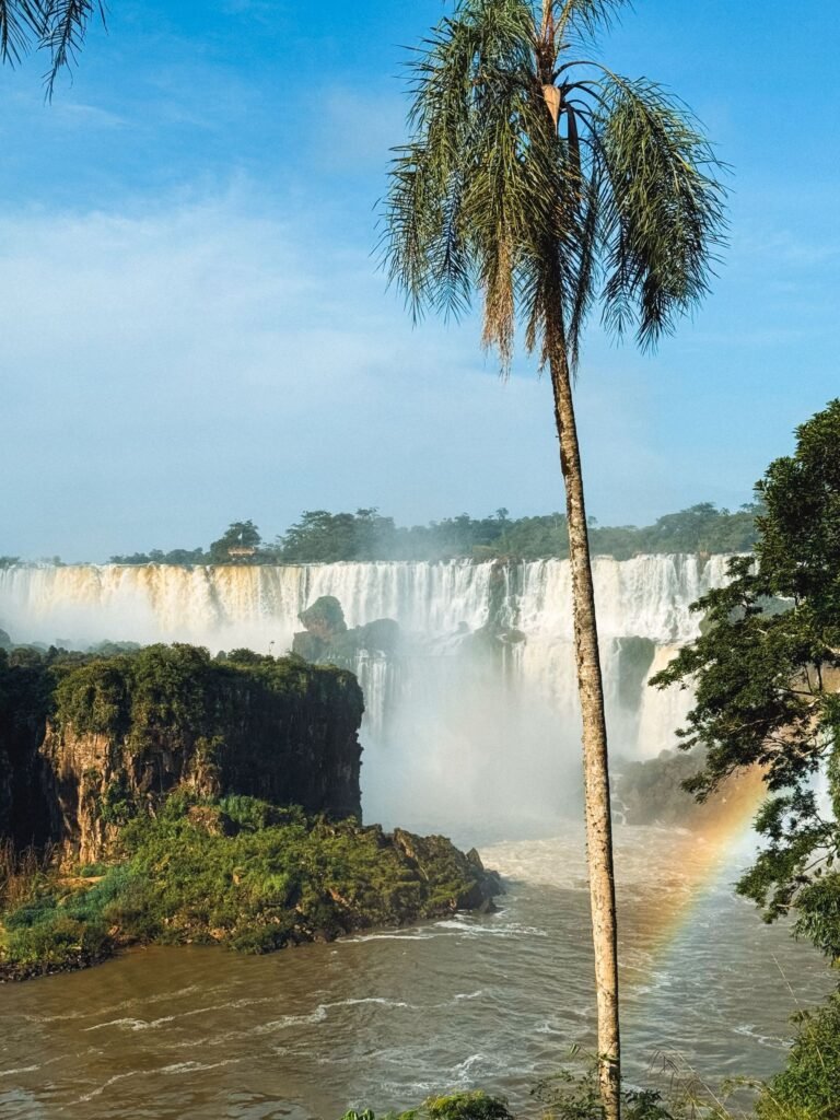 Palmboom voor de Iguazu-watervallen