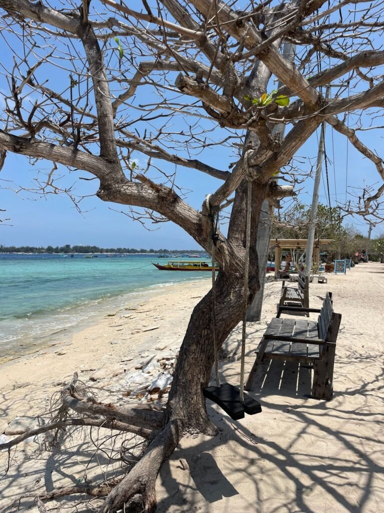 Strand van Gili Air met een boom en helder water