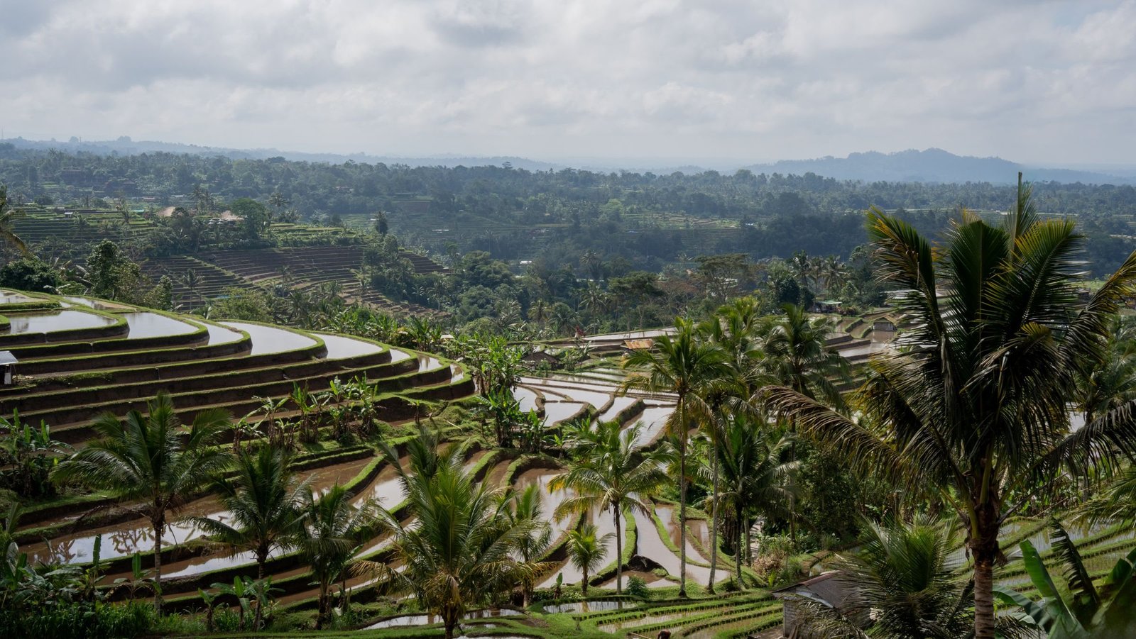 Beste reistijd Bali en Indonesië: weer per maand en regenseizoen