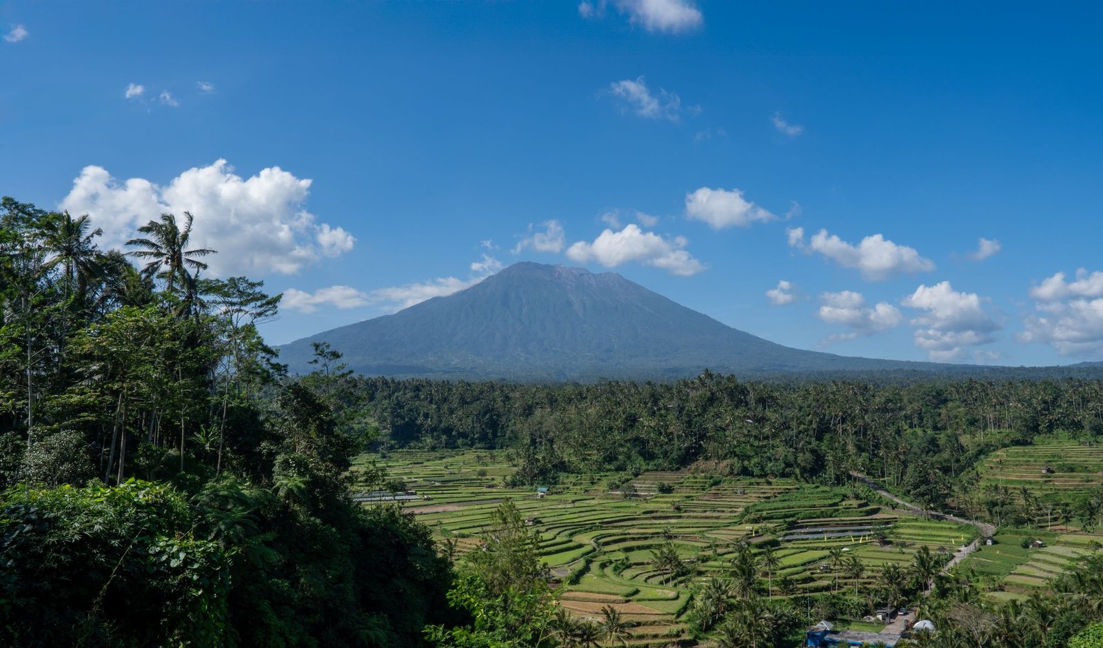 De Mount Agung boven de rijstvelden van Bali